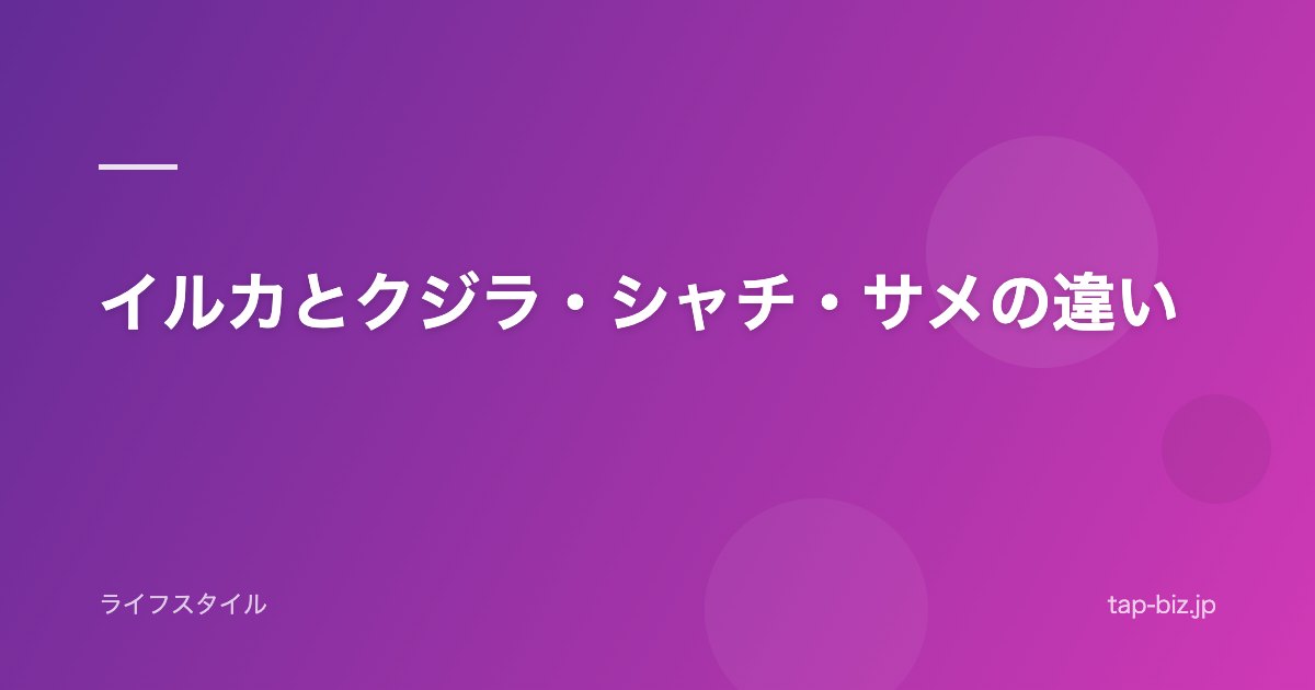 イルカとクジラ・シャチ・サメの違い