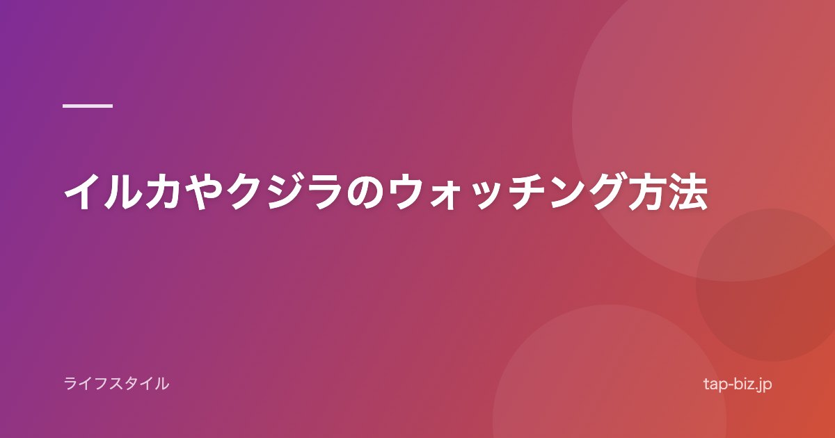 イルカやクジラのウォッチング方法