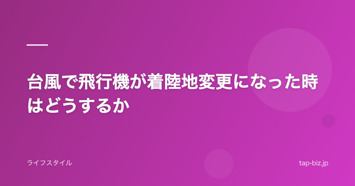 台風で飛行機が着陸地変更になった時はどうするか