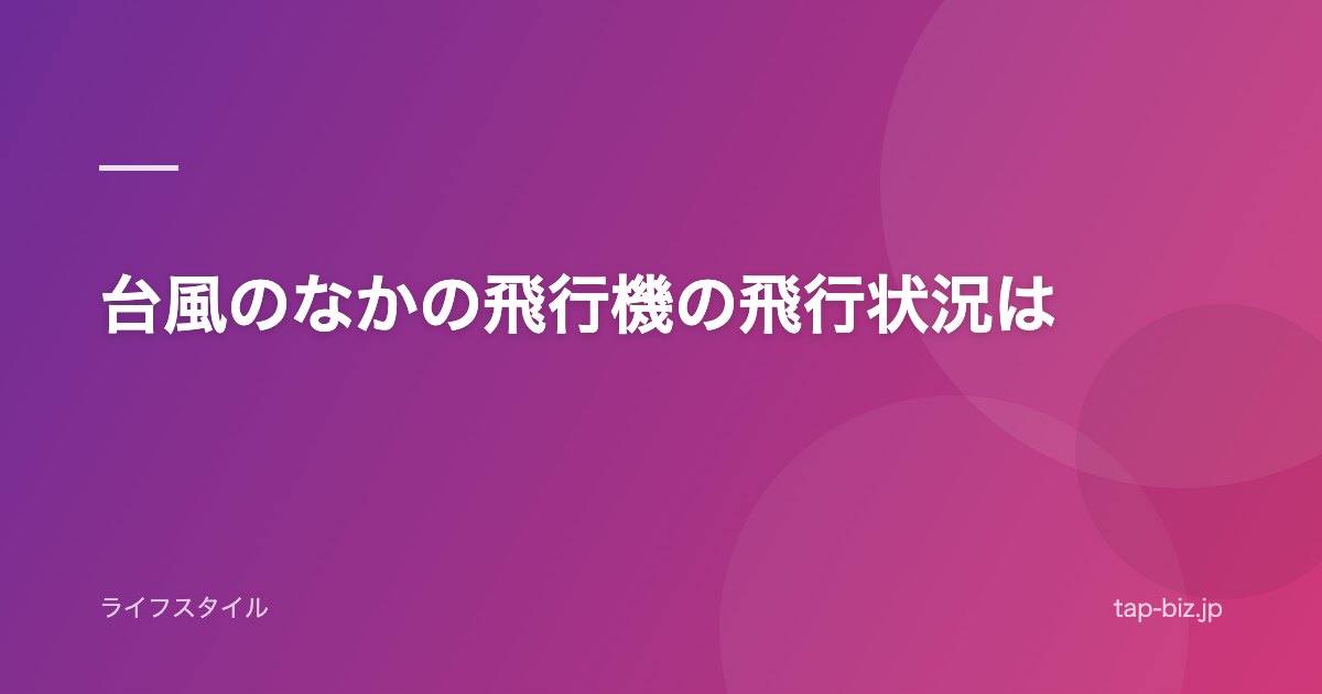 台風のなかの飛行機の飛行状況は