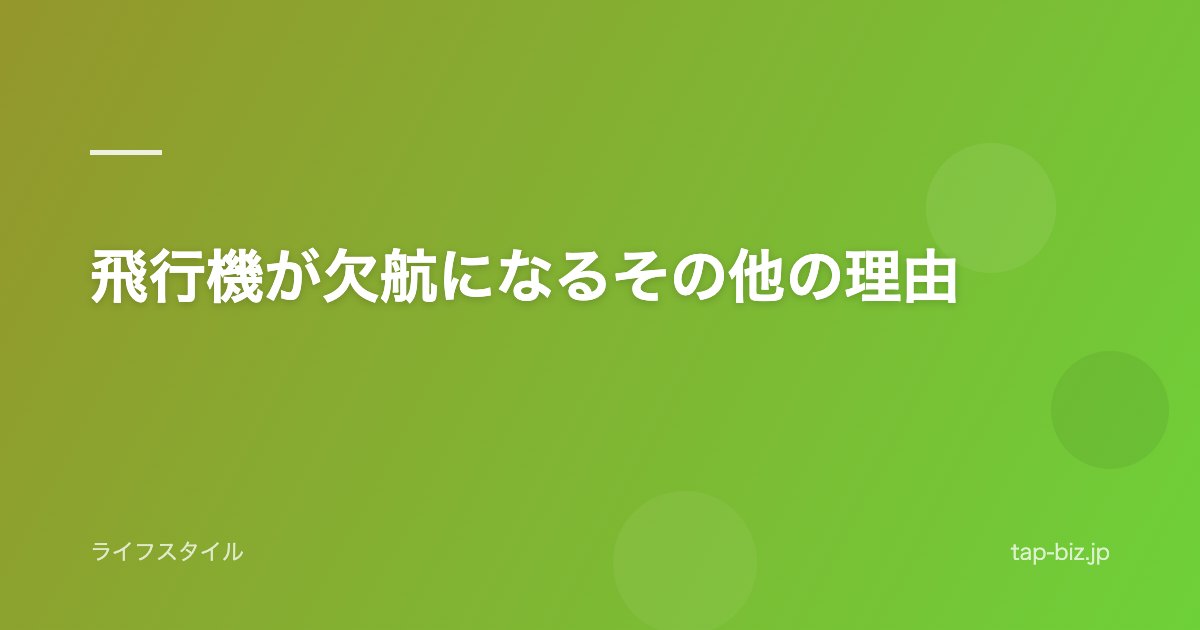 飛行機が欠航になるその他の理由