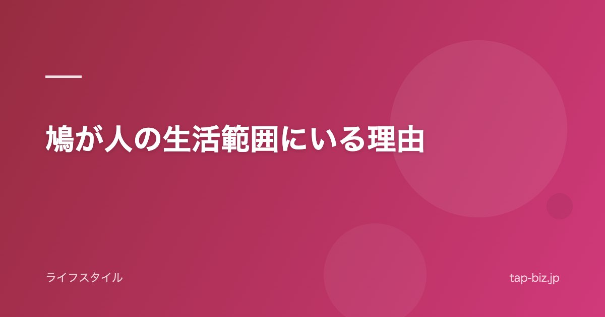 鳩が人の生活範囲にいる理由