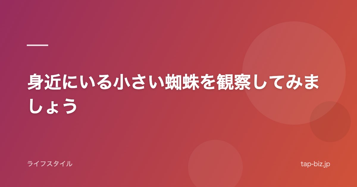 身近にいる小さい蜘蛛を観察してみましょう