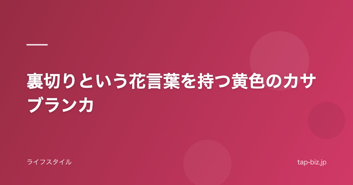 裏切りという花言葉を持つ黄色のカサブランカ