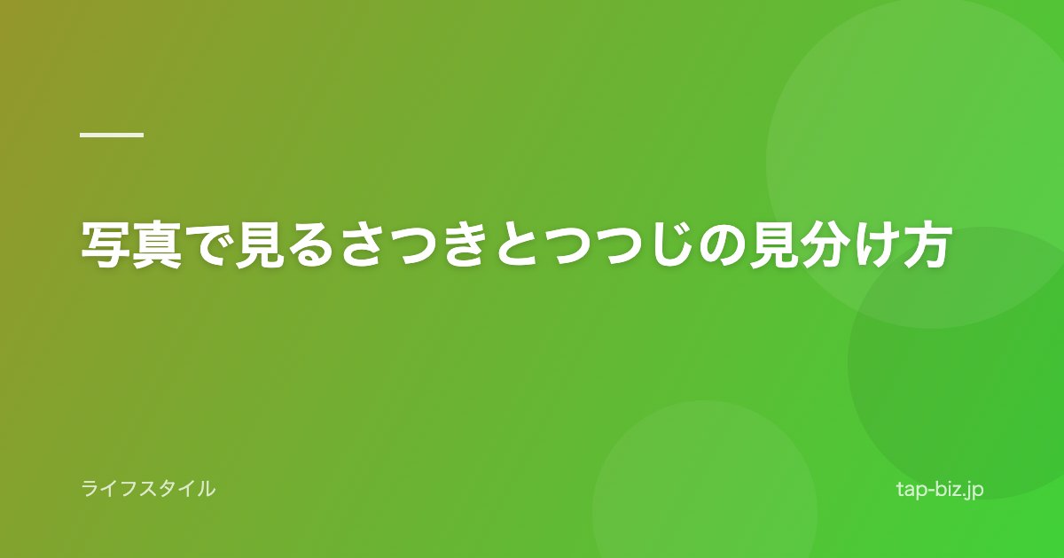 写真で見るさつきとつつじの見分け方