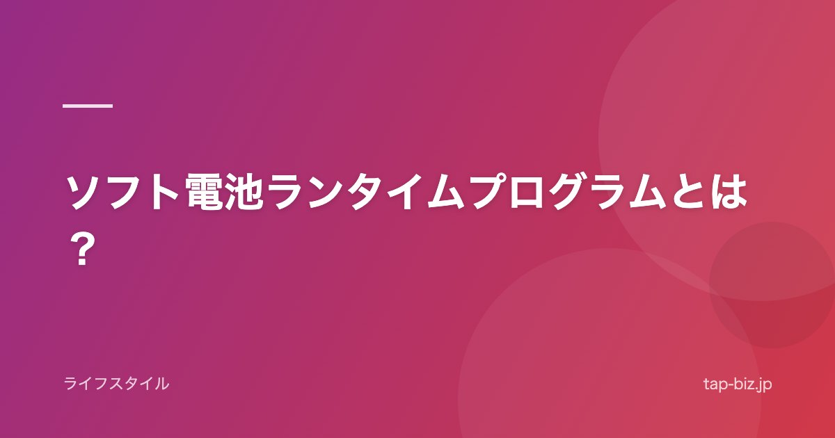 ソフト電池ランタイムプログラムとは？