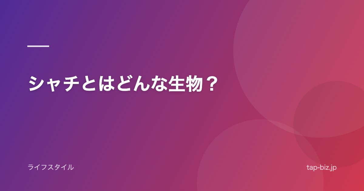 シャチとはどんな生物？