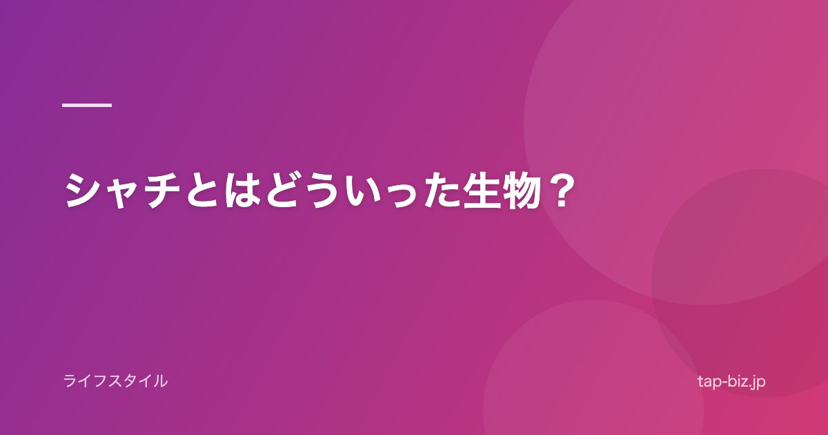 シャチとはどういった生物？