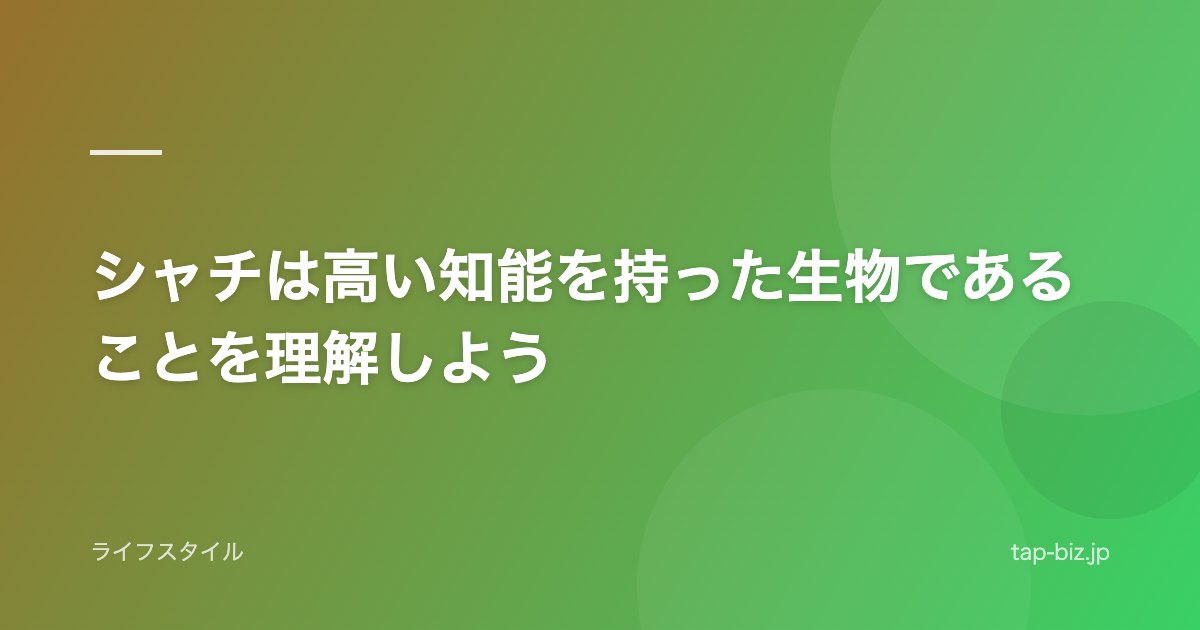 シャチは高い知能を持った生物であることを理解しよう